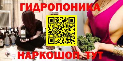 спиды Гатчина