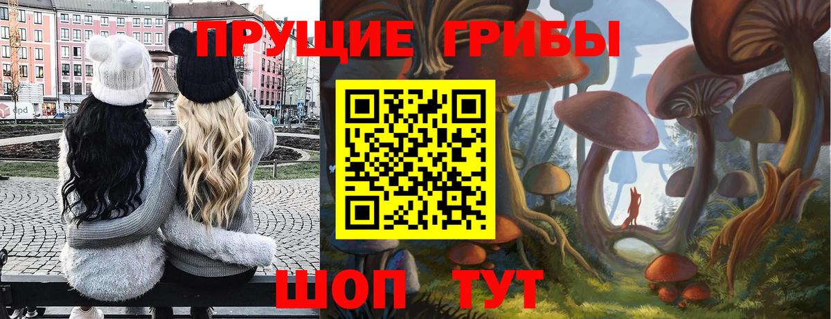 Псилоцибиновые грибы Magic Shrooms  Вход с VPN  Красноперекопск 